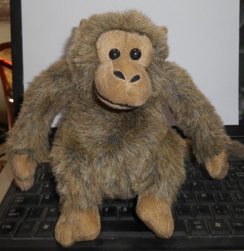 Khỉ nhồi bông - Thú Nhồi Bông Gấu Trúc - Công Ty TNHH Sản Xuất Và Thương Mại Gấu Trúc